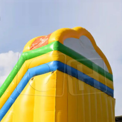 CH 2023 Hot Sale Inflatable Dry Slide,Outdoor And Indoor Inflatable Slide,Factory Price Beautiful Commercial Inflatable Slide