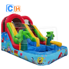 CH Professional Supplier Commercial Kids Jumping slide Inflatable Water Slide PVC Cheap Inflatable Water Slides