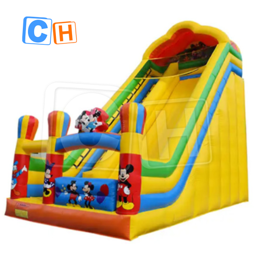 CH 2023 Hot Sale Inflatable Dry Slide,Outdoor And Indoor Inflatable Slide,Factory Price Beautiful Commercial Inflatable Slide