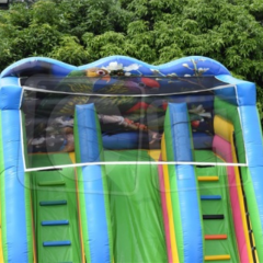 CH New Arrival Adults And Kids Inflatable Water Slide With Big Inflatable Pool Slide Inflatable Dry Slides Outdoor