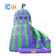 CH Good Quality Commercial PVC Inflatable Bounce House Dry Slide