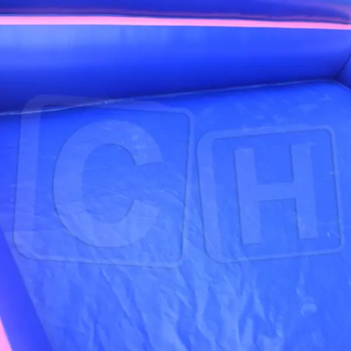 CH Popular Design Inflatable Frozen Slide With Pool For Rental, Inflatable Princess Water Slide Castle For Summer