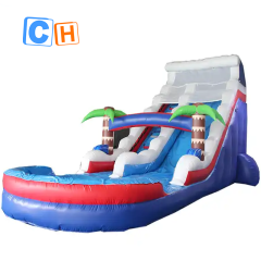 CH Large Adult Huge Outdoor Commercial Grade Inflatable Water Slides Inflatable Wet Dry Slide