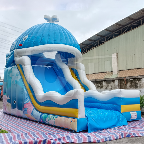 CH Bounce Obstacle Inflatable Water Slides For Pool,House Free Time Fun Dry Inflatable Slides For Kids