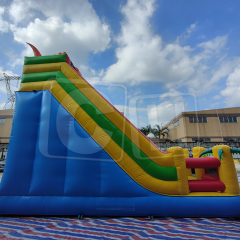 CH Commercial Inflatable Bouncer Slide For Kids,Animal Theme Inflatable Dry Slide For Adults