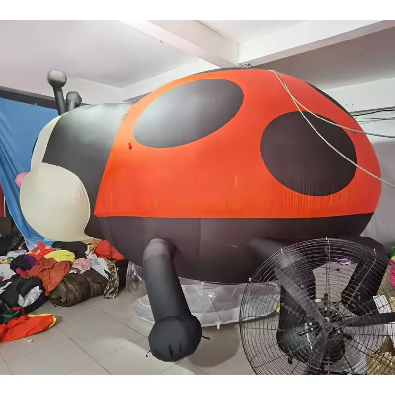 CH Coccinella Septempunctata Theme Guangdong Inflatable Model For Party,Advertising Inflatable Insect Inflatable