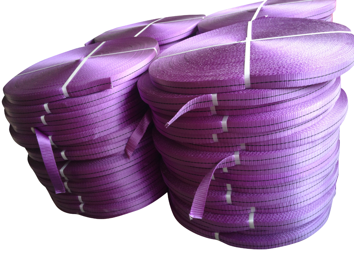 1 Ton Polyester Sling Webbing