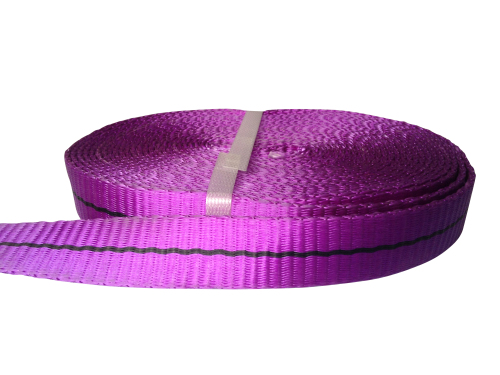 1 Ton Polyester Sling Webbing