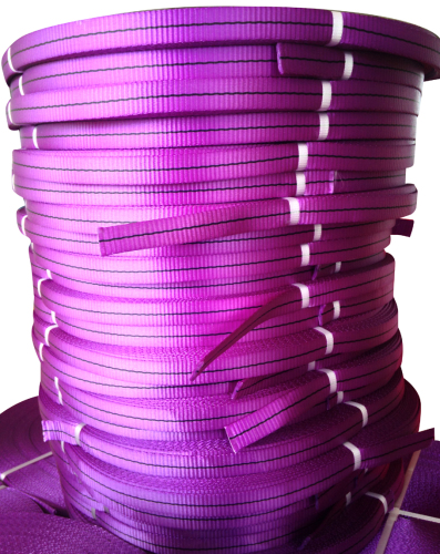 1 Ton Polyester Sling Webbing