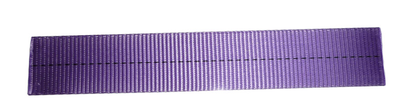 1 Ton Polyester Sling Webbing