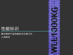 1000KG Polyester Flat Webbing Slings