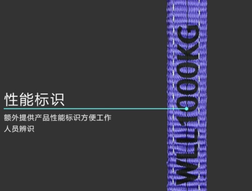 1000KG Polyester Flat Webbing Slings