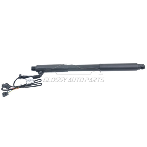 Electric Tailgate Gas Strut For BMW X5 E70 51 24 4 887 651 51 24 7 294 587 51 24 4 887 652 Rear Right/Left