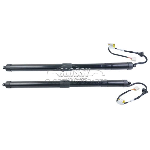 Rear Left And Right Electric Tailgate Gas Spring For Toyota RAV4 2019-2020 Sport Utility 6892042020 68920-42020 68910-0R060 689100R060 68910-42060 689