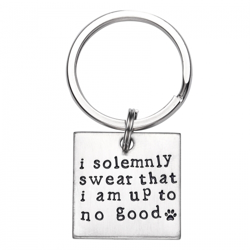 LParkin I Solemnly Swear That I am up to no Good! - Unique Pet Id Tag - Dog Tag - Cat Tag