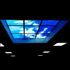 595 * 595mm 100lm/W 32W blue Sky LED panel light