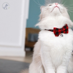 ربطة عنق للقطط صميم شكل فيونكة