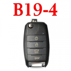 B19-4