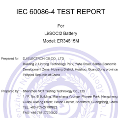 ER34615M-10.8V 26AH LiSOCl2 battery pack