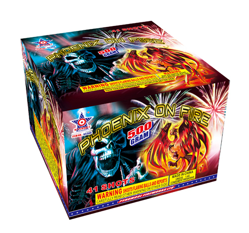 A5389 PHOENIX ON FIRE