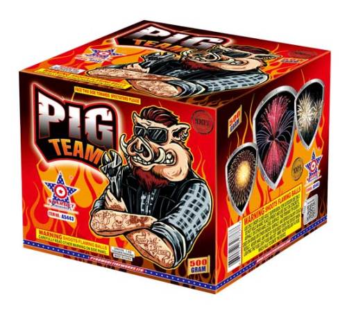 A5443 PIG TEAM