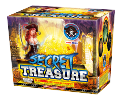 A5489 SECRET TREASURE