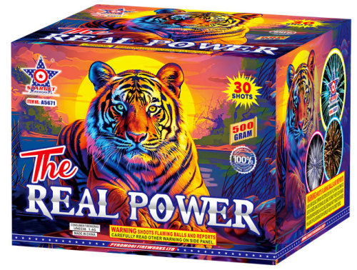 A5671 THE REAL POWER - NEW FOR 2026