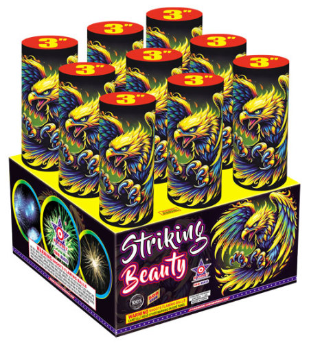 A5673 STRIKING BEAUTY - NEW FOR 2026