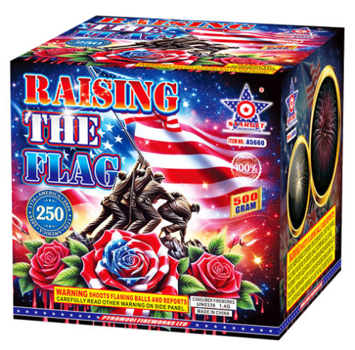 A5660 RAISING THE FLAG - NEW FOR 2026