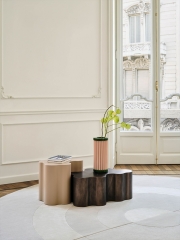 Contemporary Cloud-Form Side Tables with Matte Polyurethane and High-Gloss Metal Finishes