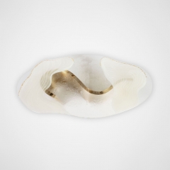 Luxury Organic Glass Coffee Table with Brushed Brass Base for Contemporary Living Room Interiors