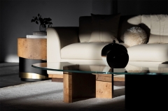 Minimalist Asymmetrical Coffee Table with Tempered Glass Top and Burl Wood Base for Luxury