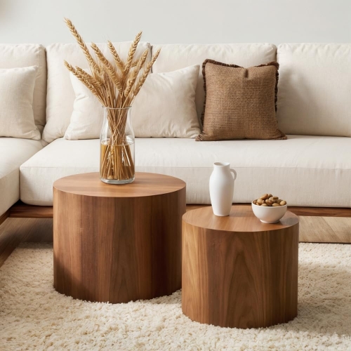 2-Piece Cylinder Nesting Coffee & End Table Set with Wood Veneer Finish