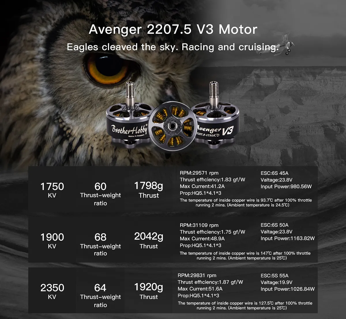 Avenger 2207.5 V3 Motor Eagles cleaved the sky: Racing