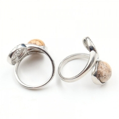 Picture Jasper