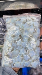 Opalite