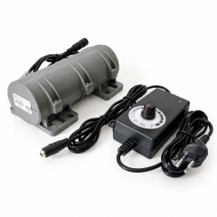 12V 24v DC Motor 3800rpm Strong Vibration Motor Mini Rotary Speed Vibrating Industry Motor for Electric Massage Bed Chair with Adjustable Speed Power 