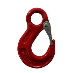 G80 EYE SLING HOOK WITH LATCH