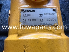 XCMG XCT100L7,swing motor,803000392.