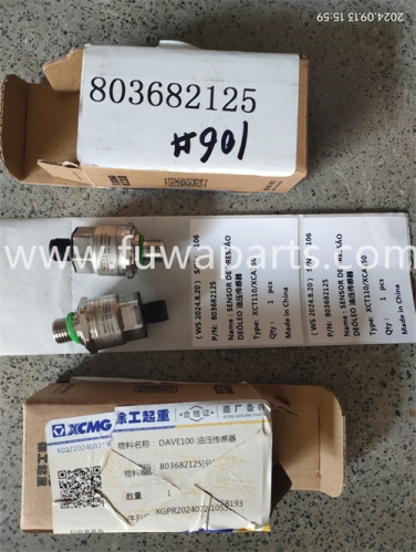 XCMG XCT110,DAVE100 sensor,803682125.Motor speed sensor,860505346.timer,803500378.oil level sensor,819954817.Sensor,803543029.