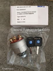 XCMG QY70,QY25,Power Swtich,803002437,steering pump,803071674,solenoid,803000649,switch,860130916(860322545),door lock,860130917,860130918,pressure sensor,803504361.