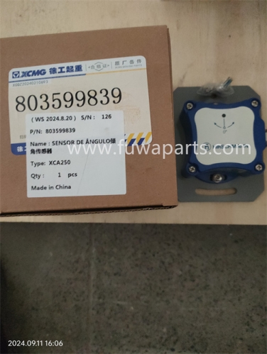 XCMG XCA250,Angle Sensor,803599839,Condensor,860502579.Filter,860302596,seal,803426021(860522913)803426020（860522915）.