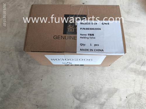 XCMG Crane, QAY220,Holding Valve,803002006.