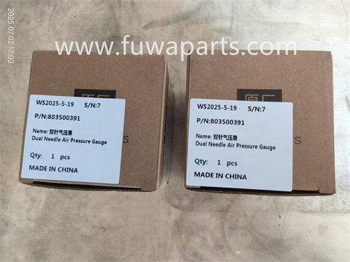 XCMG Crane, QAY220,Dual Needle Air Pressure Gauge,803500391.