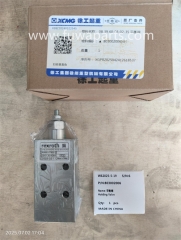 XCMG Crane, QAY220,Holding Valve,803002006.