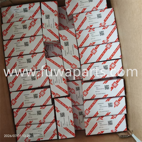 XCMG crane filter. 860544859,860544864.