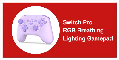 Switch pro controller