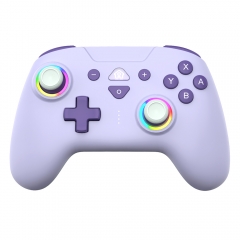 Switch/Lite/Oled/PC/IOS/Android/Steam RGB Breathing Lighting Wireless Controller/Purple