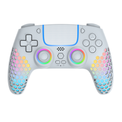 PS5/PC RGB Wireless Removable Battery Controller
