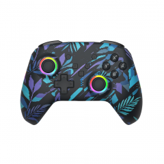 Switch2/Switch Pro RGB Breathing Lighting Wireless Controller